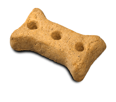 CBD Dog Treats